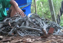 RSPCA welcomes report backing snare and glue trap ban