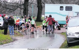 Canicross class draws entrants for FODAC race