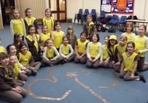 Brownies gather money for charity