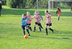 Ross girls head to see national team