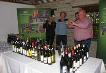 Monmouthshire vineyards among the best in Wales