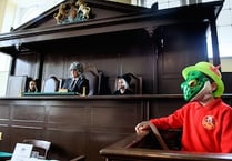 Toad on trial at Shire Hall