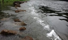 High sewage levels cause river fears