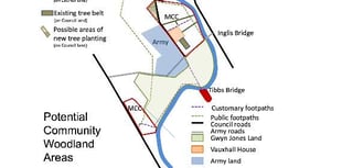 Can you help tree planting on Vauxhall?
