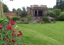 A hive of activity at Nelson Garden’s bee festival