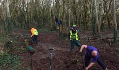 Wyesham woodland group wants volunteers