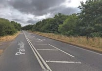 ‘Horror film’ discovery as pile of dead wild animals dumped in Chepstow