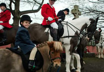 All creatures great and small gather on New Year’s Day