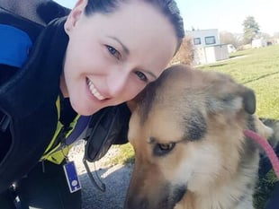 Lost dog finds its way home