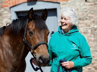 Rescue centre and visitor attraction to open near Chepstow