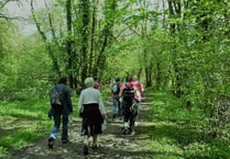 Popular Walk the Way fundraiser moved to September