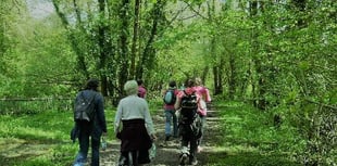 Popular Walk the Way fundraiser moved to September