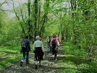Popular Walk the Way fundraiser moved to September