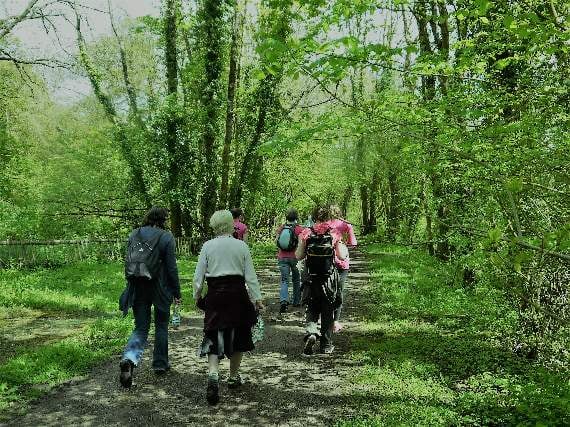Popular Walk the Way fundraiser moved to September
