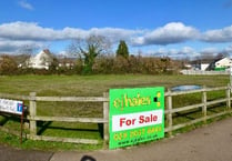 Bee orchard land on the market