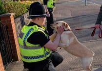 Gwent Police celebrate special people - could you do the role?