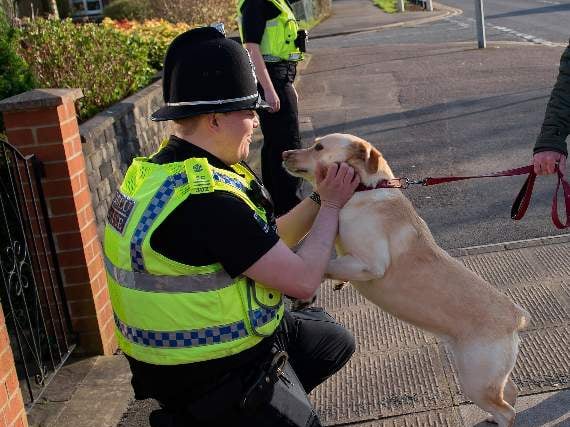 Gwent Police celebrate special people - could you do the role?