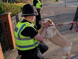 Gwent Police celebrate special people - could you do the role?