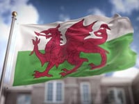 Petition launched to make the dragon on Welsh flag a Boy-o!
