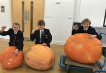 Drew's giant pumpkin tops the school scales at 76 kg!