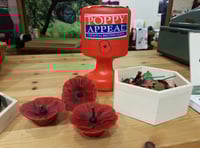 Bees for Development creates poppies with a special appeal