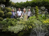 How 'in Bloom' competitions have moved with the times