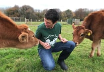 Sanctuary welcomes two calves from reality show