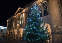 Plastic Christmas trees for town?