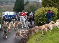 Jones addresses Monmouthshire hunting controversy