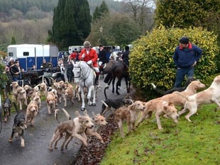 Jones addresses Monmouthshire hunting controversy