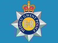 Police issue witness appeal following fatal A40 collision
