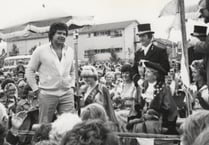 Surviving in a Netflix world