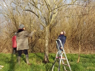 Community news: Monmouth Community Orchard