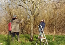 Community news: Monmouth Community Orchard