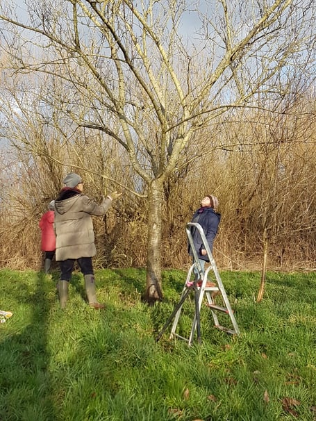 Monmouth Community Orchard