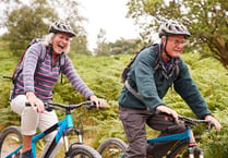 Active travel group reinstated by single vote