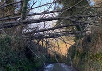County services to resume today following storm