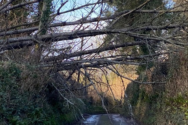 County services to resume today following storm