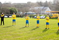 Cup quarters agony as Kingfishers crash out