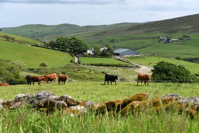 Environmental Blueprint for Welsh Livestock Farming Launched