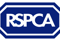 RSPCA joins Keep Wales tidy to back Spring Clean Cymru
