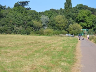 Monmouth celebrates Inglis Bridge reopening with outdoor cinema event 