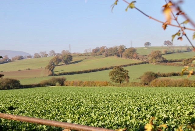 'Traffic mayhem' fears over giant solar farm construction 