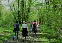 Popular Rotary fundraiser ‘Walk the Wye’ returns