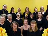 Sunshine Singers looking for new members
