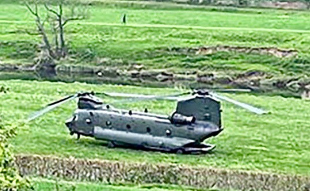 Chinook by Carolyn Thomas 