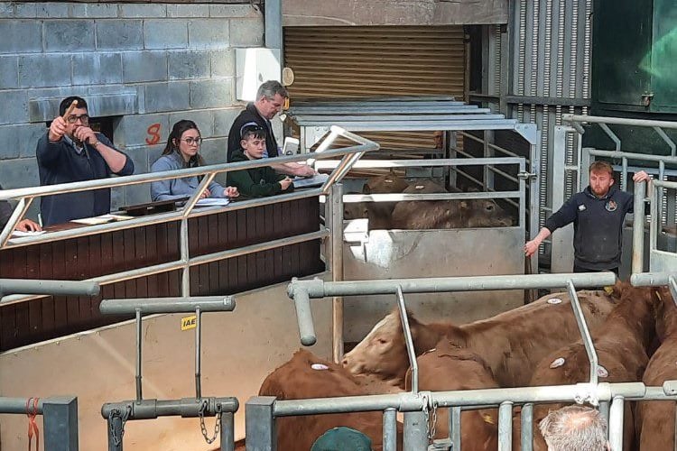 Livestock Auctioneers’ Association (LAA
