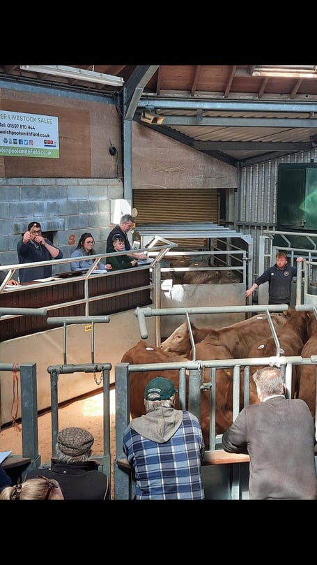 Livestock Auctioneers’ Association (LAA