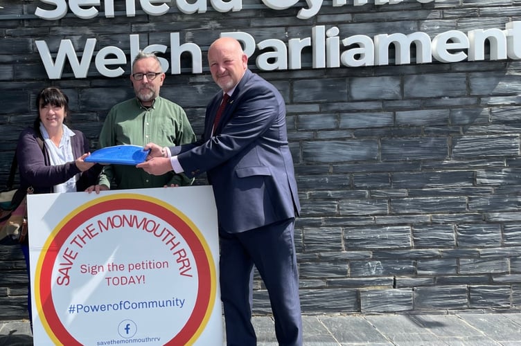 Senedd petition