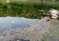 River sewage claim is dismissed by NRW